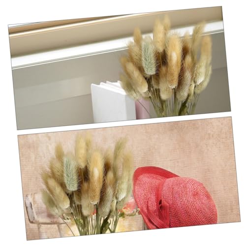 ABOOFAN Flores secas, rabo de coelho, grama, grama, raposa, coelho, grama, flores comuns, ramo para