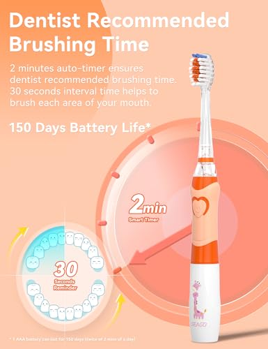 SEAGO Kids Electric Toothbrush with 2 Mins Brushing Timer and 4 Replacement Bursh Heads, Rainbow LED Light Make Brushing Fun, Boys Battery Powerd Toothbrush for 4-12 Years Old，SG-977(Orange) - Thumbnail 5