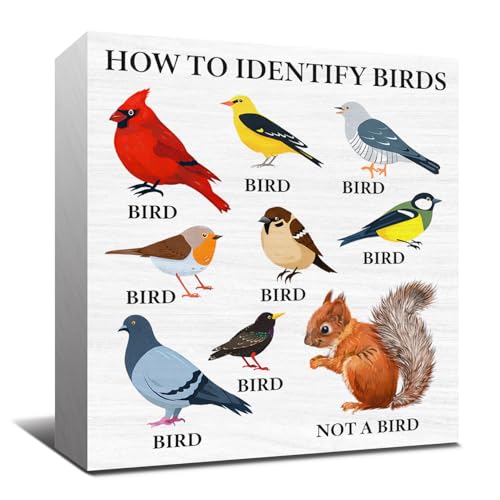 Funny Bird Watching Gifts for Women Men - How to
