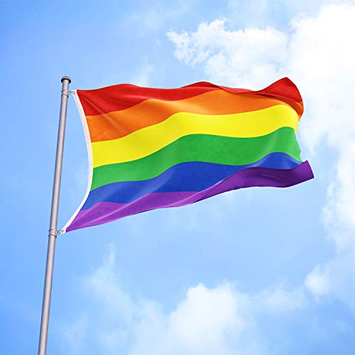 Flagburg Rainbow Flag 5X8Ft, Lgbt Flags - Durable Polyester Gay Pride Lesbian Flag Banner, Vivid Color, Double Stitched And Fade Resistant With Canvas Header & Brass Grommets For Outdoor Parade #TOP6