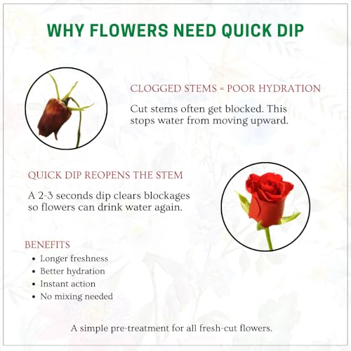 Image of Oasis FloraLife Quick Dip - Instant Hydrating Treatment Solution for Preserving Fresh-Cut Flowers - 1 Litre