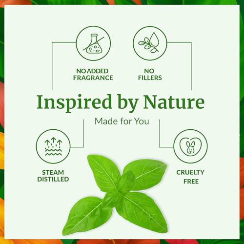 Image of SVA Sweet Basil Essential Oil, Glass Bottle with Dropper, 4 Fl Oz (118 ml) | Sweet Basil Essential Oil for Diffuser, Hair Care, Skin Care, Massage, Soap Making, Perfume Making, Fragrance & DIY Blending