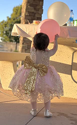 Christening Lace Birthday Christmas Easter Special Occasion Flower Baby Girl Dress Princess Formal Prom Tutu Ball Gown 2T 3T Pink B 100 #TOP2