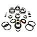 USA Standard Manual Transmission T56 Bearing Kit 1993 & Newer 6-Speed w/Synchros ZMBK396WS