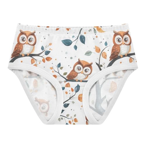 ZZKKO Cute Owl on The Branch Girls Underwear Toddler Panties for Girls Comfort Brief Size 2T-8Y