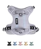 Picture of 2026 New Edition, Fei & Eve Classic Dog Harness - Quick-Release Buckles | 3-Point No-Pull Control | Heavy-Duty 900D Nylon | Dual Safety Handles | Breathable Mesh | Adjustable Fit | Small,Gray