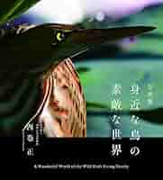 日本の鳥　写真集 日本の鳥 1995: 写真集 | バーダー編集部 |本 | 通販 | Amazon