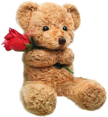 Osito de Peluche Civaner con Rosa 30cm Beige miniatura 9