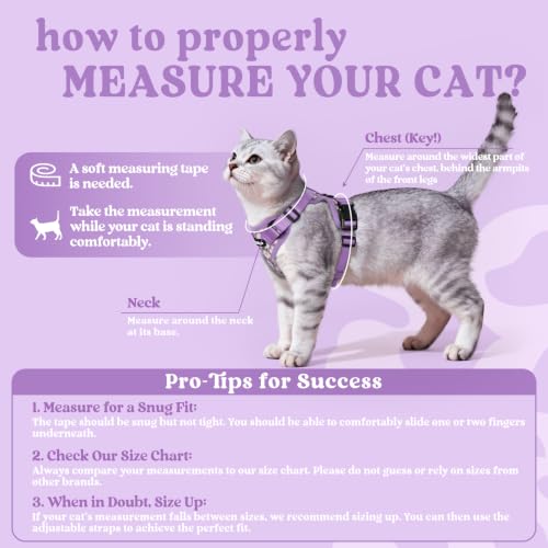 Image of rabbitgoo Cat Harness and Leash Set, Escape Proof Vest, Purr-ple Daisy | Soft Breathable Mesh, Easy Adjustable Fit, Snap Buckles, Sturdy Clip, Reflective Strips, for Medium to Large Cats Walks, M