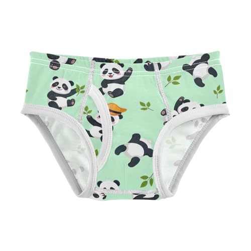 CHIFIGNO Boys Underwear Cotton Briefs Soft Printed Kids Boys Briefs Underwear, Cute Cartoon Pandas Green