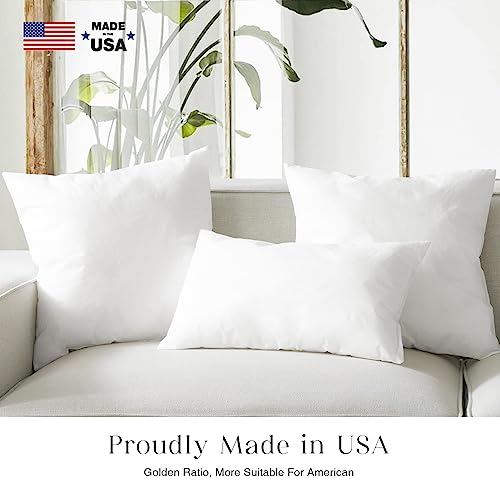 Phantoscope Pillow Inserts, Made In Usa 100% Virgin Fiber Hypoallergenic Polyester Throw Pillow Inserts, Square Pillows For Couch, Sofa, Bed, 22X22 Inch (Pack Of 2) #TOP2