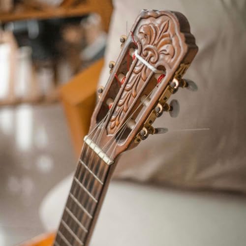 La MPB verso il nuovo secolo