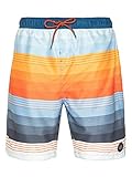 Protest Herren Beachshort ICON Maroon M