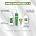Garnier Nutrisse Ultra Coverage Hair Color, 600 Deep Light Natural Brown (Spiced Hazelnut) Permanent Hair Dye (Packaging May Vary)
