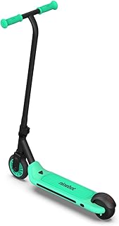 Segway Zing