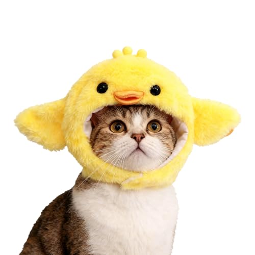 Veasbuu ybgpXq | 킢敗fUC̓,ʔLXq - ETM  p[eB[  Ղ NX}X nEB