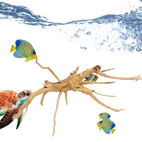 ق̒ޗ | T̖̐؂̍ - ANZT[ VR؂̊AeEpAB