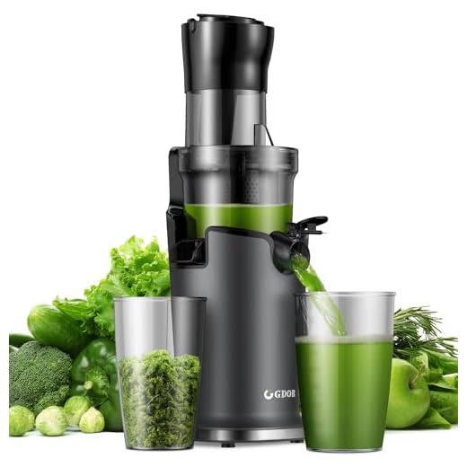 GDOR Cold Press Juicer Machines for Whole Fruit and Vegetable, Wide Mouth 89MM Feeding Chute, Powerful Slow Masticating Juicer with Two-layer Filter, High Juice Yield, BPA-Free, Brush Included