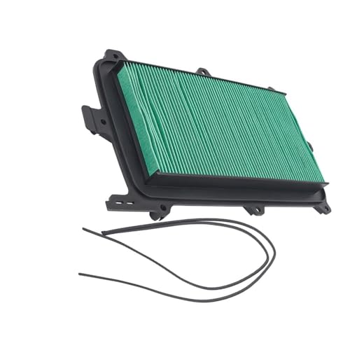 Filtre à air moto de haute précision pour Talon 1000X-4 17215HL6A00