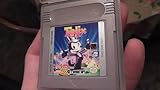 Felix the Cat (Renewed)
