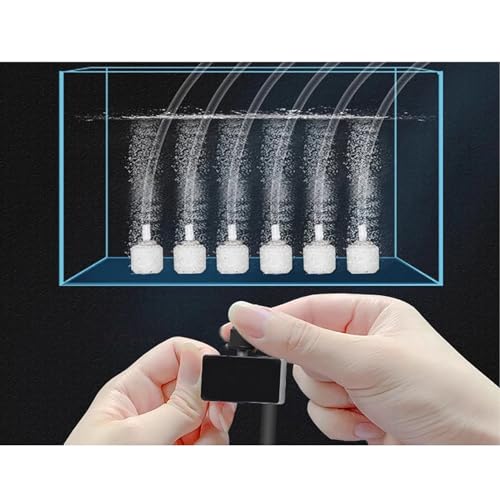 Toplionace DC 12V Mini Luftpumpe Sauerstoffpumpe Motor Volt Aquarium Pumpe Einstellen Pwm Lautstärke Angeln Aquarium Auto Belüfter Zucht