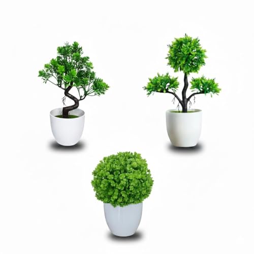 Plantas Bonsai Artificiais em Vasos Redondos Modernos
