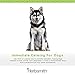 Herbsmith July Third - Canine Calming Chews - Calming Herbs for Dogs - Anxiety Supplements for Dogs - 30ct Small Chews