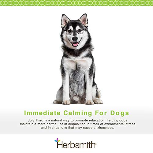 Herbsmith July Third  Canine Calming Chews  Calming Herbs for Dogs  Anxiety Supplements for Dogs  30ct Small Chews  Cucciolini Doodles Herbsmith july third  canine calming chews  calming herbs for dogs  anxiety supplements for dogs  30ct small chews   cucciolini doodles