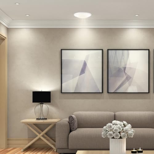 Image of BESPORTBLE Clip on Ceiling Light Cover Replacement, 7.8in Diameter Round Ceiling Fixture Shade Plastic Mushroom Light Shade for Bedroom Kitchen Bathroom DIY Lamp Shield
