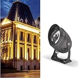 GUODDM Foco De Haz Estrecho - Foco De Pared De Largo Alcance De 10 W, LED...