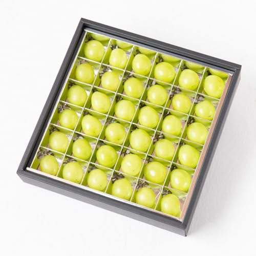 [  ] VC}XJbg ʕ Mtg t[c  y VC}XJbg36 / WG[{bNX z Ε t[cMtg