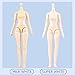Mini 1/6 Scale YMY Doll Body 8.6 inches/9.4 inches Female Body YMY22/YMY24 PVC+POM Bust Two Size Whity Skin Color (YMY22,Milky White)