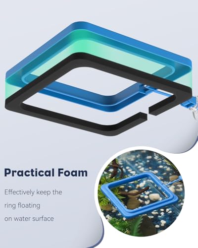 Pawfly 2 Stück Aquarium Futterring mit Saugnapf Runde und quadratische schwimmende Futterspender kleine Fische Futterring Ring für Betta Goldfisch Kugelfisch und Schildkröten