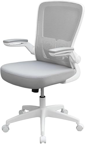 Axton Ergonomic Office Chair