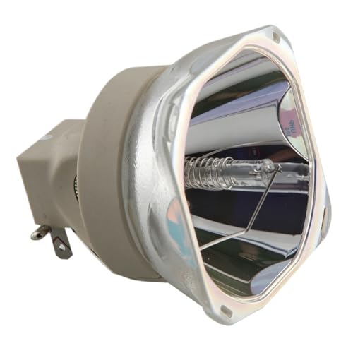 Accessoire projecteur NP44LP idéal pour réussir vos réunions sur NEC
