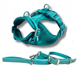waterproof Dog Harness, Collar and Leash Set, No-Pull Design, Waterproof Oxford 900D Material, Padded Mesh Lining, S/M, Teal Green (Medium)
