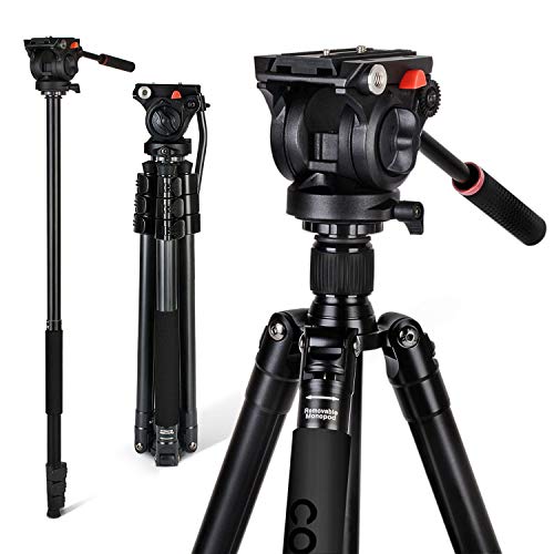 71" Tripod, COMAN Premium Camera Tripod, Portable All-in-One Professional Video Tripod, Lightweight Aluminum