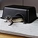 OMEM Reptile Hideout Box, Hideout Caves, Small Animal Hideaway (M)