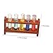 Milisten Miniature Test Tubes with Wooden Rack for Doll House Decoration Sturdy Simulation Lab Equipment Mini House Scene Accessories Realistic Miniature Laboratory