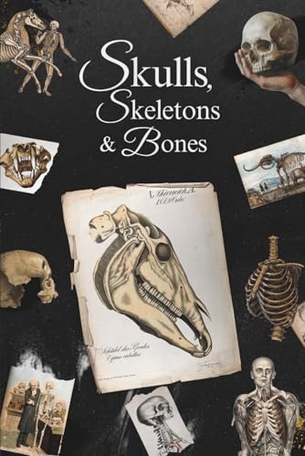 Skulls, Skeletons and Bones: An Artist's Anatomy Reference Book for Drawing the Human Figure and Animal Skulls - Medical Photography and Symbolism - A Guide for Design, Digital Art, Sketching, and Collage with Vintage Illustrations and Science Inspiration