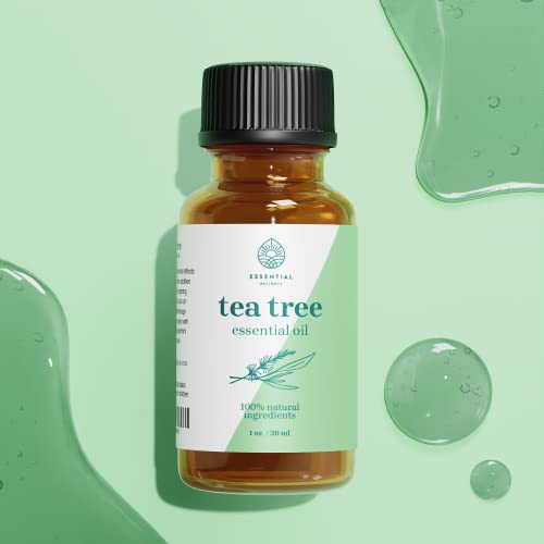 Aceite Esencial de Árbol de Té 100% Puro 1 oz miniatura 3