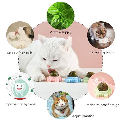 Sichumaria-Catnip-Wall-ToysCatnip-Balls-Teeth-Cleaning-Cat-Bite-ToyEdible-Cat-Licking-Toy-Cat-Chew-Toy-Teeth-Cleaning-Cat-Bite-Toy-Rotatable-Indoor-Cat-Toy-Green