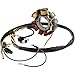 DB Electrical APO4001 Stator Coil For Polaris Magnum 425 95 96 97 98 1995 1996 1997 1998, Sportsman 400 01 02 2001 2002, 500 96 97 1996 1997,Xplorer 1997 97,335 Sportsman 1999 2000 99 00