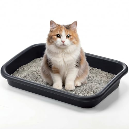 Caja de arena baja para gatos senior Uiifan 16.9x12x3.15 pulg miniatura 1
