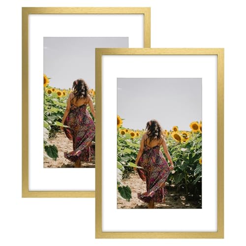 Image of Frametory, 16X24 Picture Frame Display 12X18 with Mat or Without Mat, Horizontal Vertical Wall Poster High Definition Glass, Wide Molding, Perfect for Home Decorate (Gold, 2 Pack)