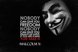V for Vendetta Malcolm X Quotes Silk Poster 36x24 Inches