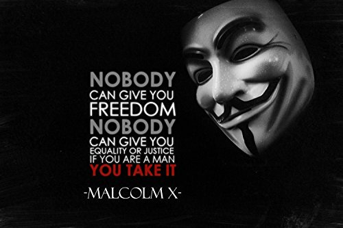 V for Vendetta Malcolm X Quotes Silk Poster 36x24 Inches