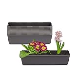 VIELFALT: Die Einsätze lassen sich auch als Kräutergarten, Pflanzen- und Blumentopf, sowohl als auch in einer Euro-Palette verwenden.