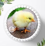 Ihr Onlineshop Digital-on 24