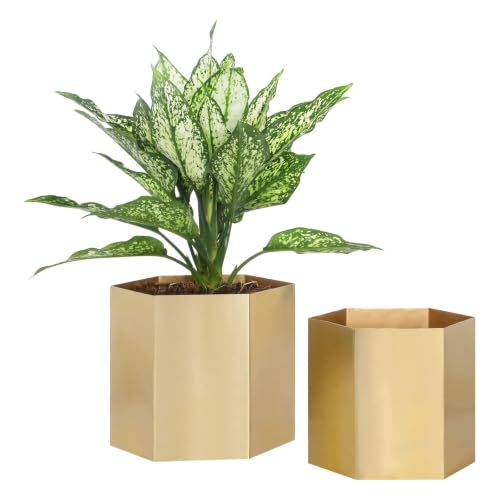 MyGift Metallic Brass Metal Hexagon Planter Pots Set of 2 Handmade in India